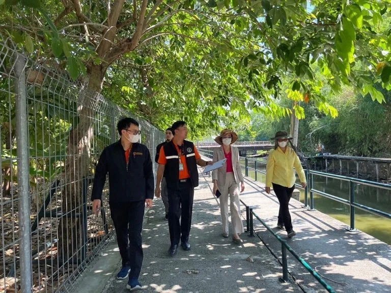 ผู้ช่วยศาสตราจารย์ ดร.วรรษิดา บุญญาณเมธาพร และบริการวิชาการ และคณะทำงานร่วมมือกับสำนักงานเขตประเวศ และชุมชนย่านคลองประเวศบุรีรมย์ เพื่อพัฒนาย่านสร้างสรรค์เขตประเวศและลงพื้นที่สำรวจฐานทรัพยากรชุมชน เพื่อยกระดับสู่การท่องเที่ยว